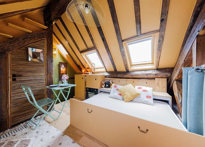 Atypical Studio Near Jardin Du Luxembourg - Mobility Lease